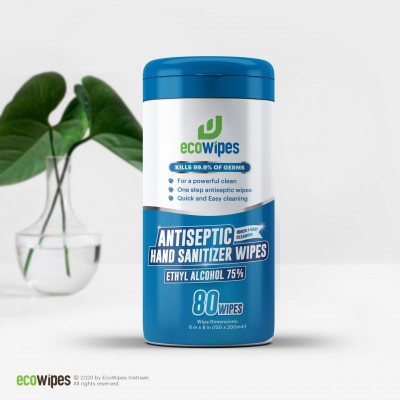 Antibacterial Hand Wipes, Kills 99.9% Germs on Skin, 80 Wipe Canister by ECOWIPES VIETNAM